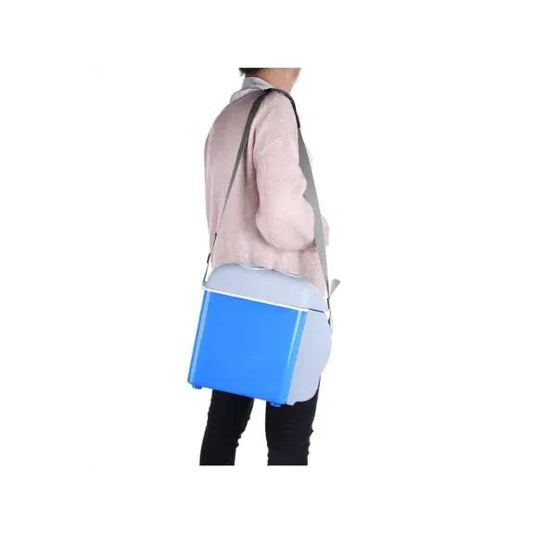 Portable Mini Car Refrigerator, 12V 7.5L Car Fridge